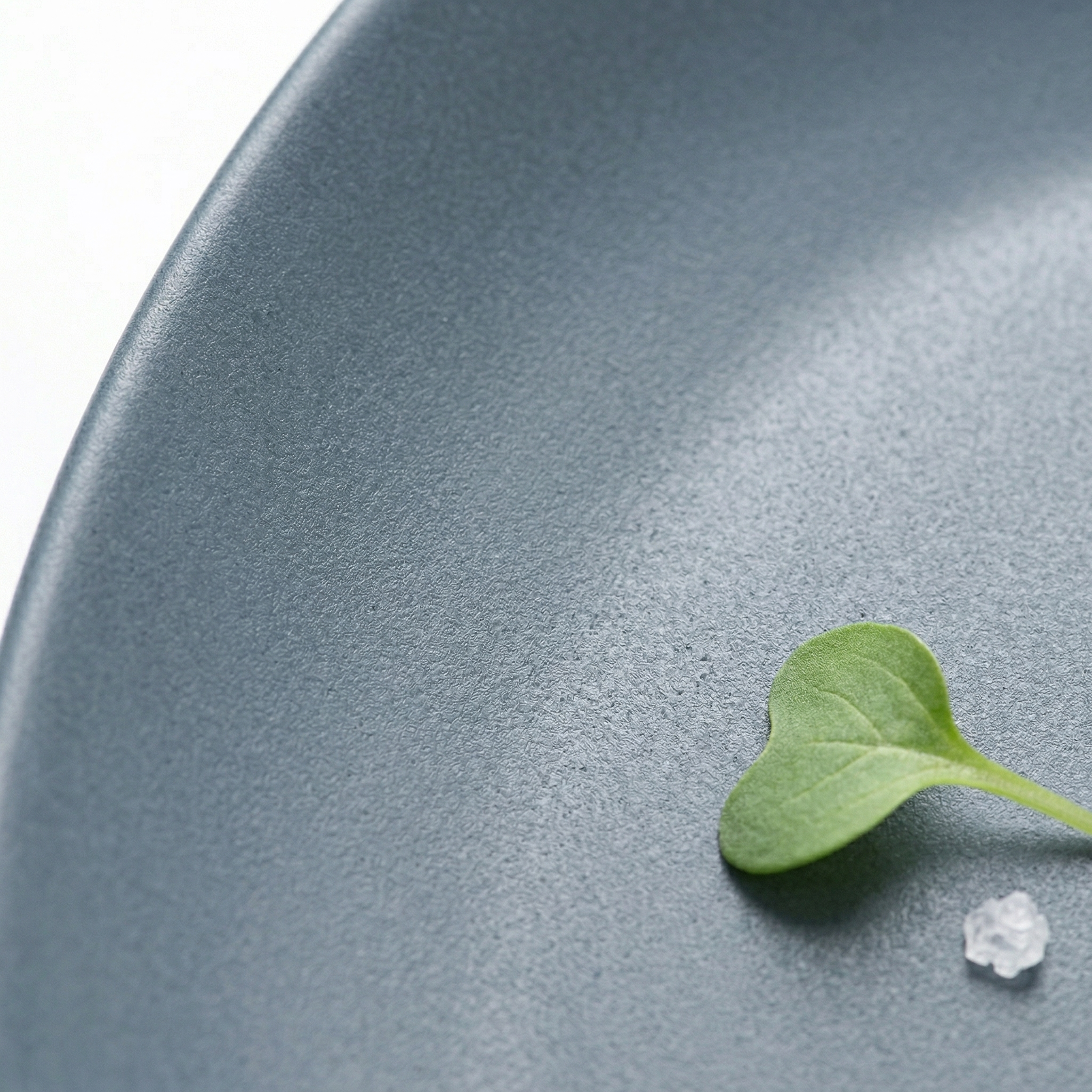 Greentainer plastic dinnerware set displayed on table